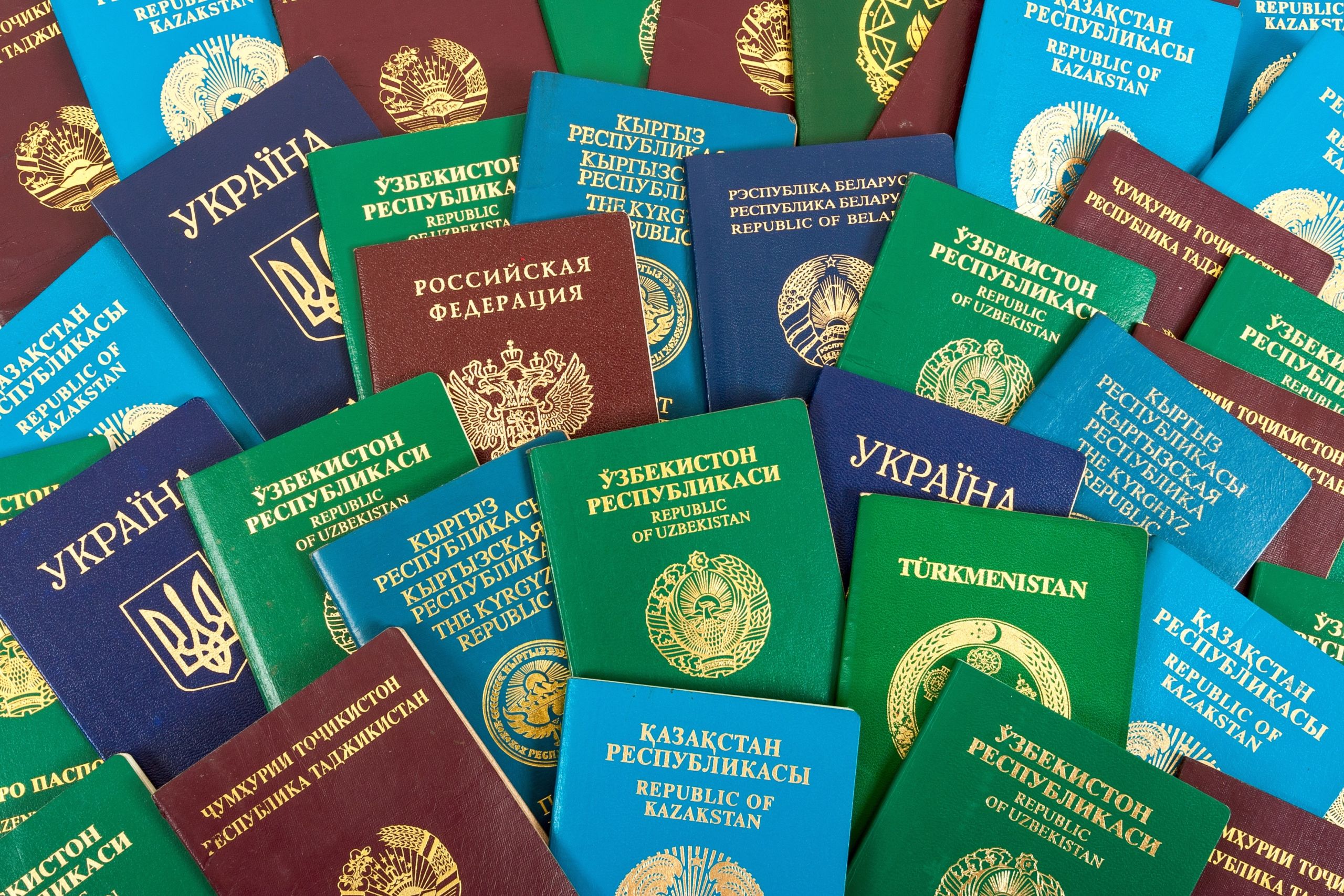 19551146 - different foreign passports as background