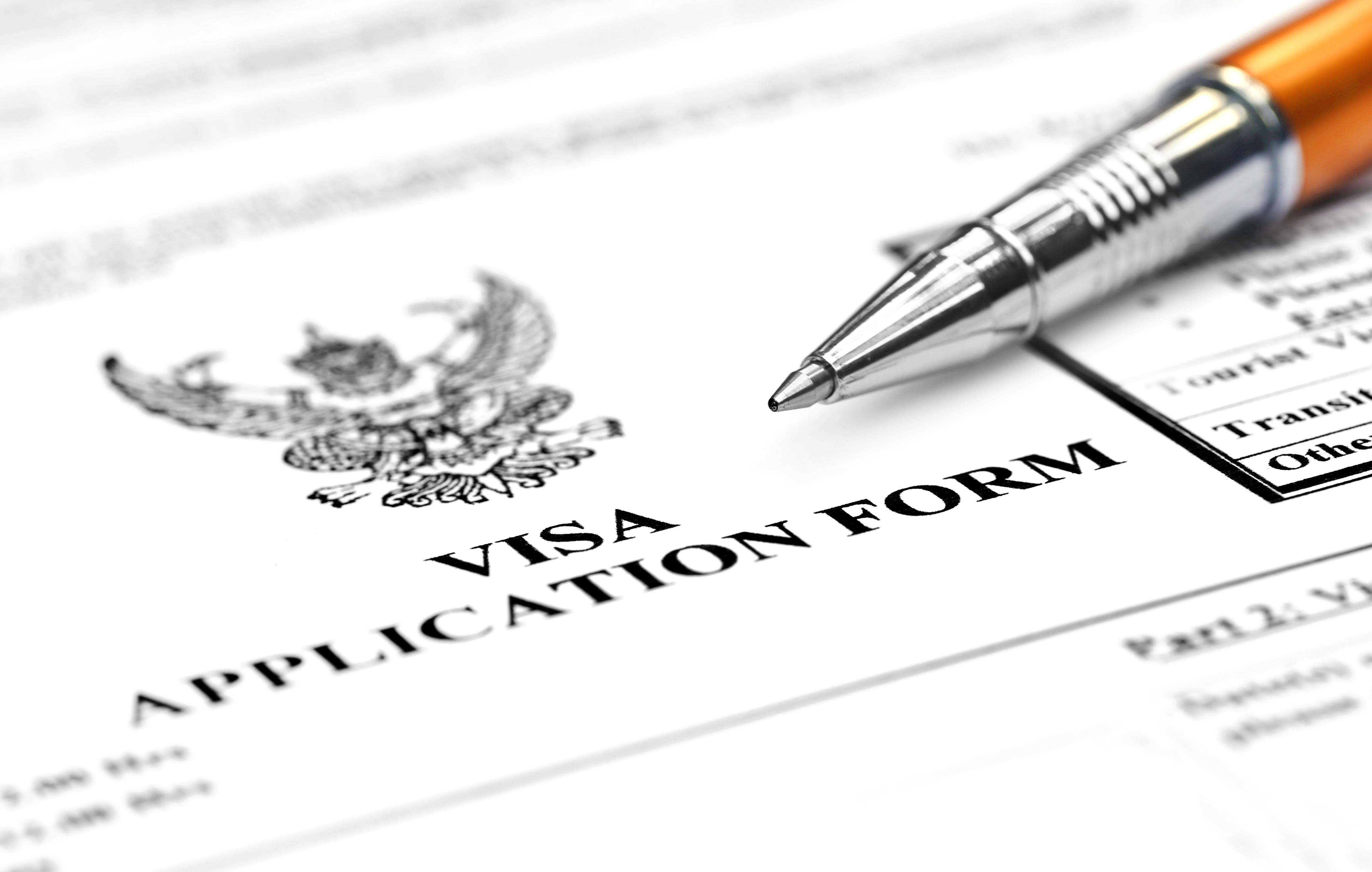 Visa application form with ballpoint